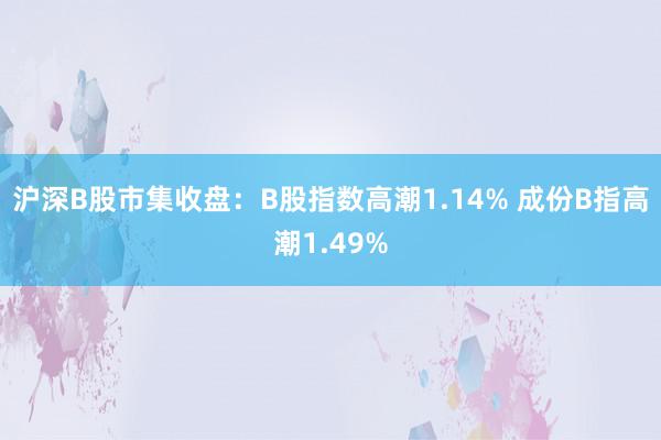 沪深B股市集收盘：B股指数高潮1.14% 成份B指高潮1.49%